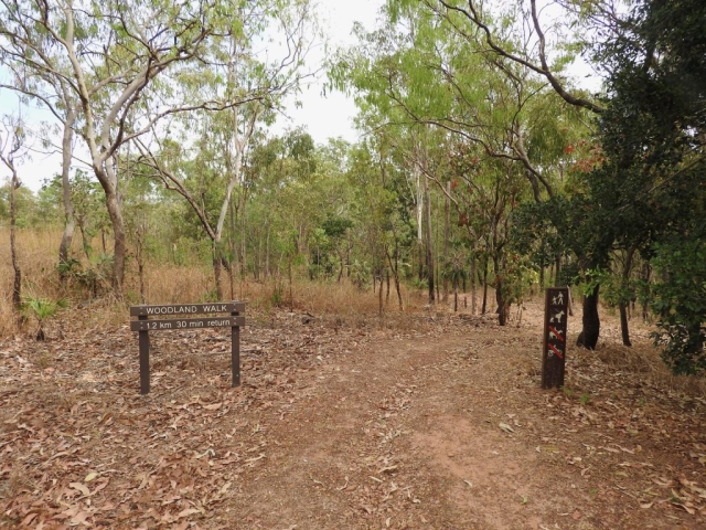 Start of the Woodland Walk