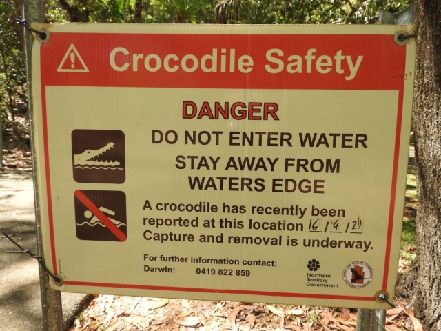 No swimming at Wangi Falls due to a rogue crocodile