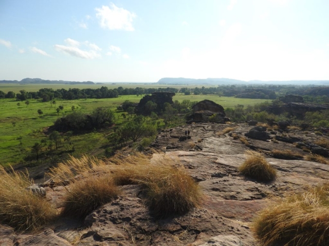 View from the highest point of the lookout