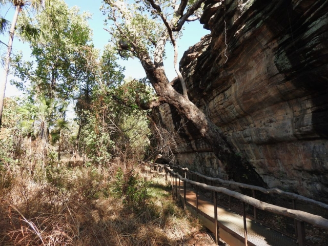 Rock Art viewing trail