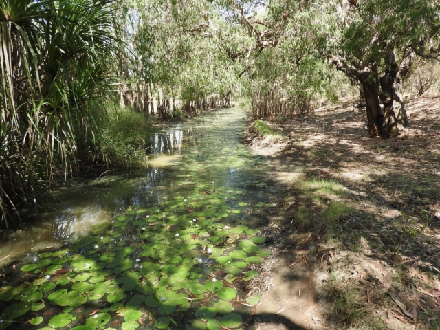 Catfish Creek at the start of the Sandstone and River Bush Walk