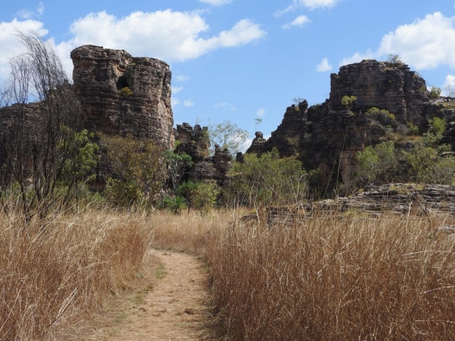 Towards the end of the Bardedjilidji walk