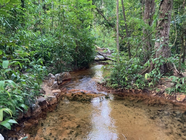 Creek in Howard Springs