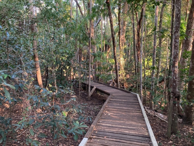 Trail in Berry Springs Nature Park