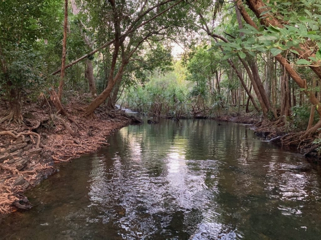 River in Berry Springs Nature Park