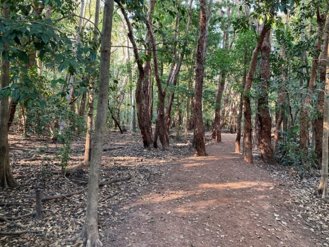 Start of trail at Fogg Dam