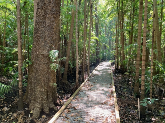 The trail turns to boardwalk in the wetter areas