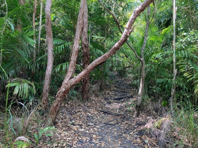 Start of the Upper Cascades walk