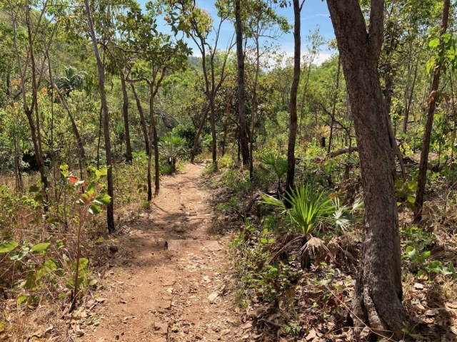 Lower Cascades walk