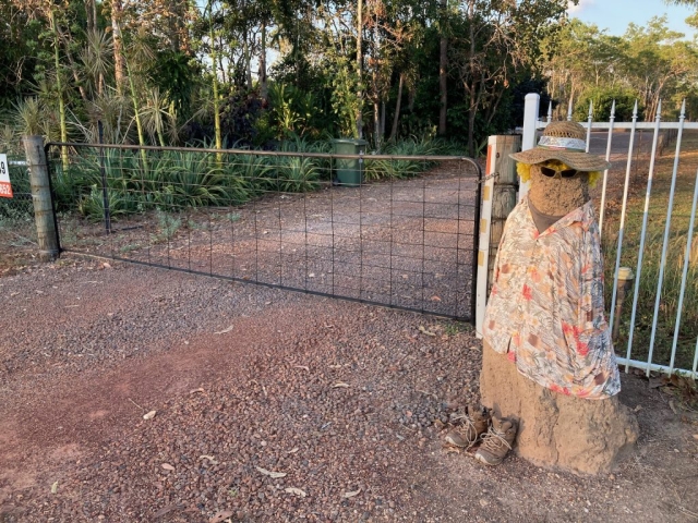 Termite mound 'man' on Bees Creek Road