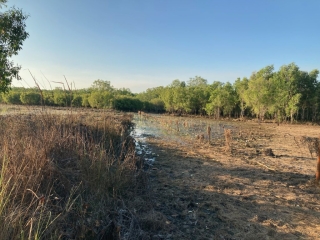 Waterlogged trail in mid June