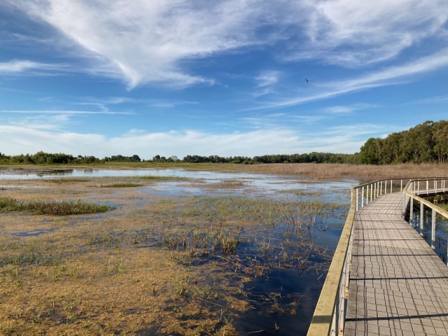 View from the boardwalk