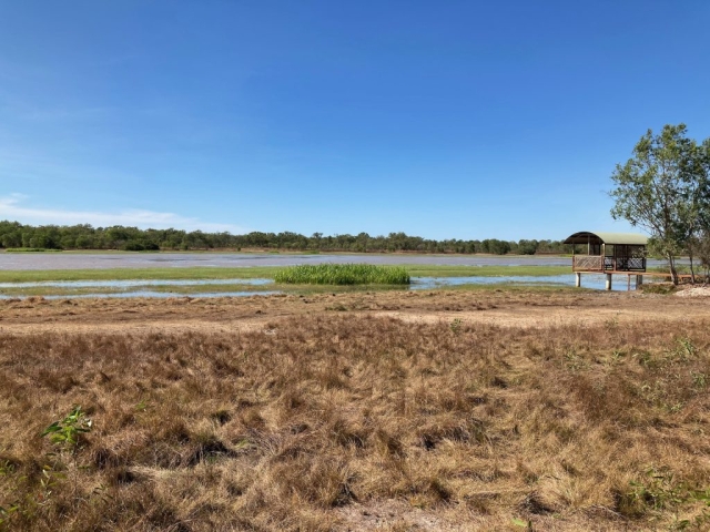 Bird hide by the billabong