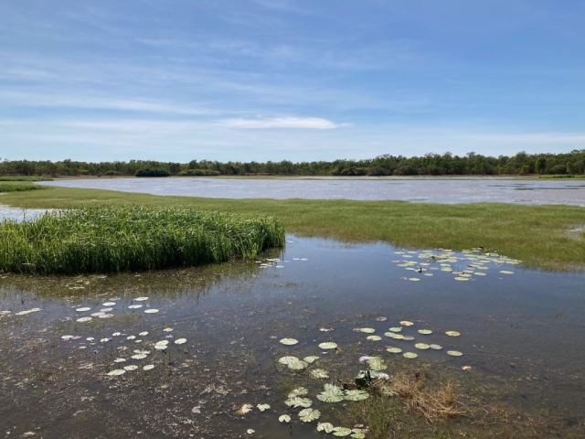 View of Bird Billabong