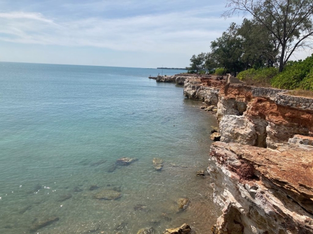 Coastline at East Point Reserve