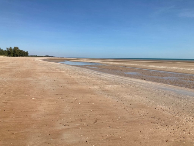 On the sand at Lee Point