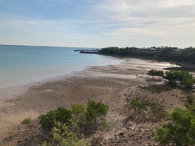 View from the lookout in Bicentennial Park