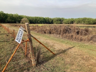 Scotty's Walkway