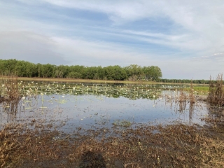 View over the lagoon