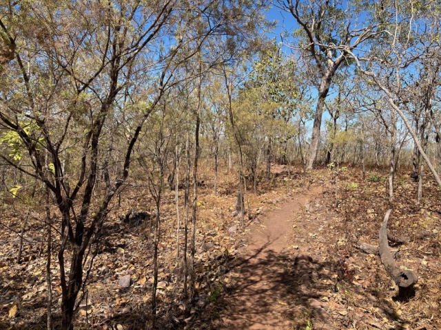 On the Tjaetaba Falls walk