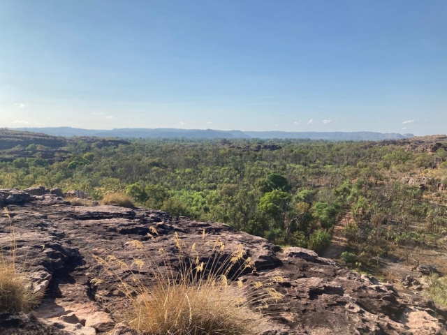 Another view from the lookout