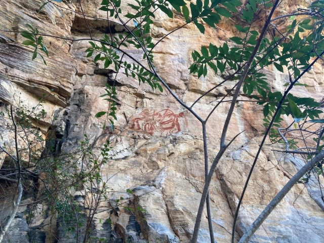 Rock art on the Bardedjilidji Walk