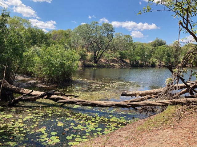 The East Alligator River