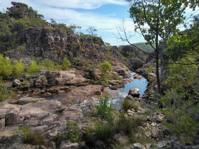 On the Tolmer Creek walk