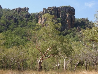 View from the trail to the Nanguluwurr art site