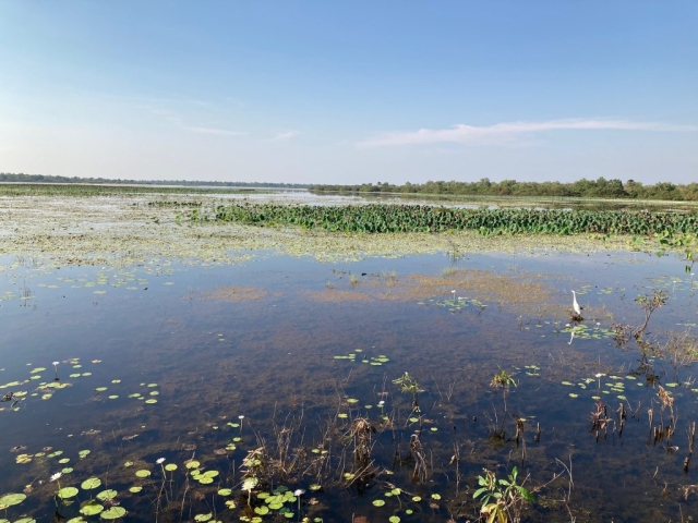 View from the bird hide in Mamukala Wetlands