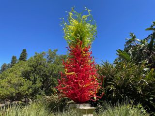 Chihuly Tree 1