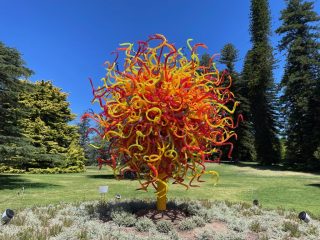 Chihuly Tree 3