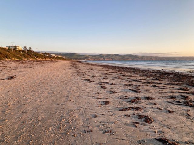 Aldinga Beach in September - before cars are allowed on the beach