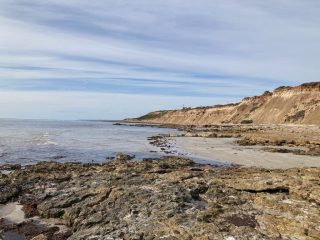 View of Snapper Point