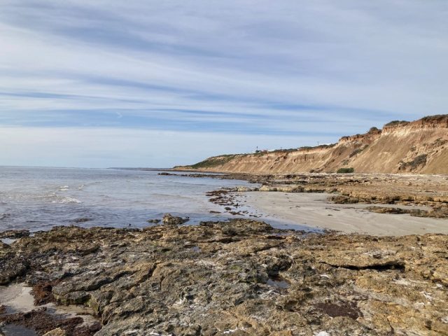 View of Snapper Point