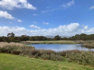 Hart Road Wetlands