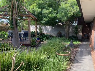 Our front garden in Aldinga Beach
