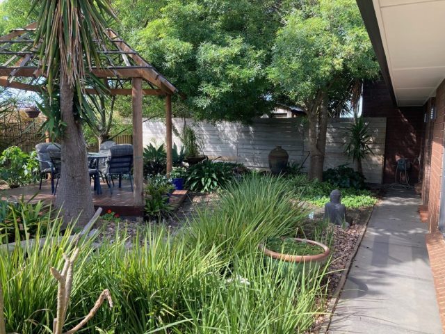 Our front garden in Aldinga Beach