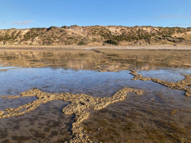Looking back towards the coast at low tide