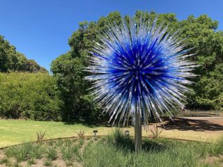 Chihuly Tree 4