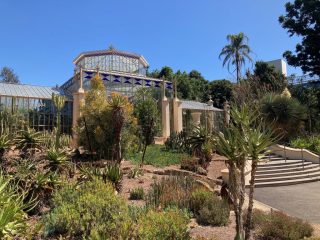 The Palm House - circa 1857