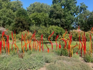 Chihuly flowers