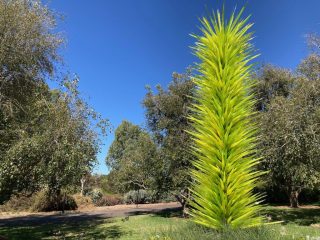 Chihuly Tree 2