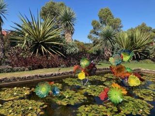 Chihuly waterlillies