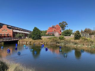 Chihuly things floating in the water
