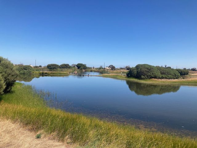 View over the wetlands