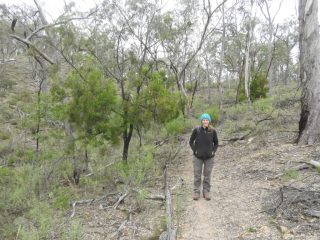 CC on the 'green' track CC on the 'green' track