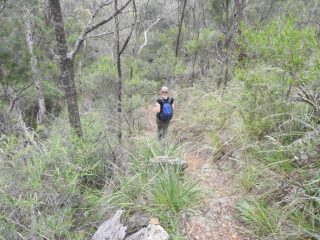 CC back on the 'green' track CC back on the 'green' track