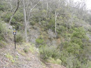 On the 'yellow' track On the 'yellow' track