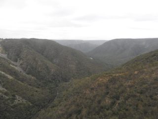 Back at the car park - view from Bungonia Lookdown Back at the car park - view from Bungonia Lookdown